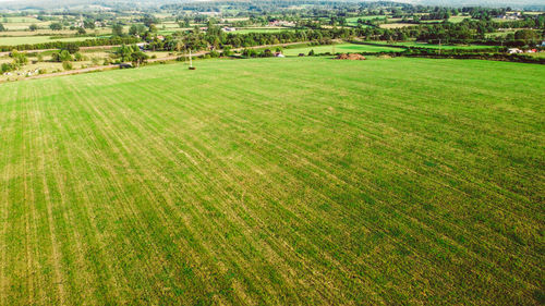 Scenic view of agricultural field