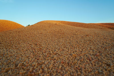 Surface level of land against clear sky