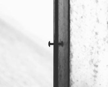 Close-up of insect on window