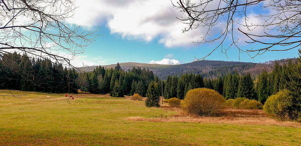 Scenic view of field against sky