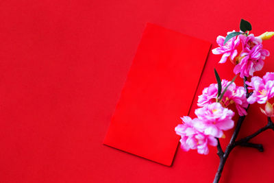 Low angle view of pink cherry blossoms against red wall