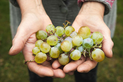 Close-up of hand holding fruits