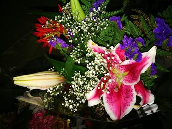 Close-up of flowers blooming outdoors