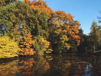 Scenic view of trees against sky