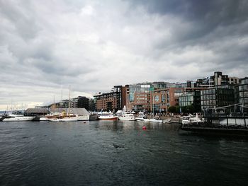 Boats moored at harbor in city against sky