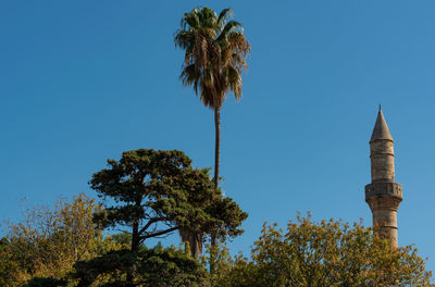 Low angle view of trees against blue sky