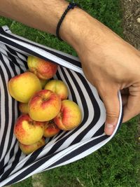 High angle view of hand holding apple