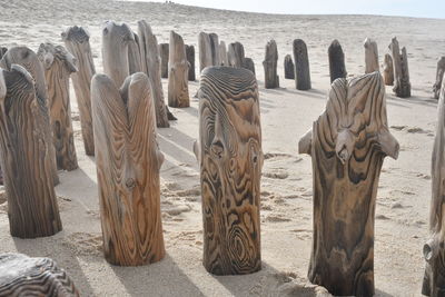 Wooden posts on beach