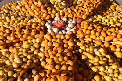 High angle view of various squashes for sale at market stall