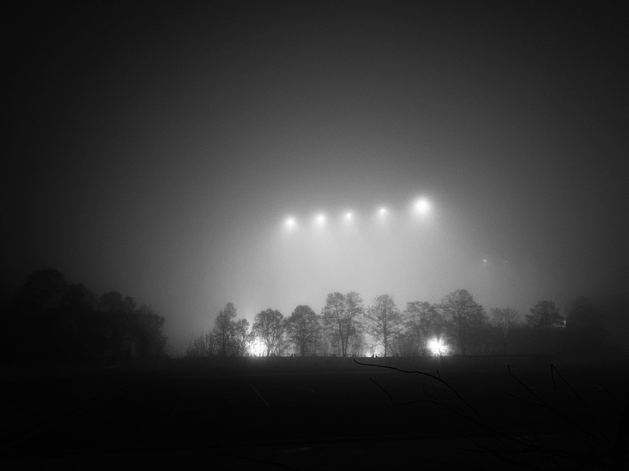 SILHOUETTE OF TREES AT NIGHT