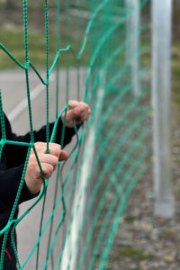 Midsection of person holding plant by fence
