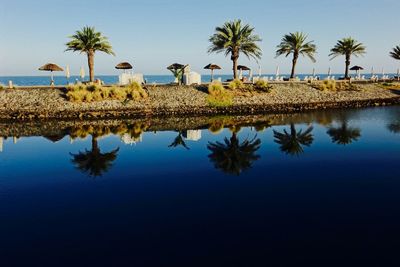 Reflection of palm trees on water at the cove rotana resort