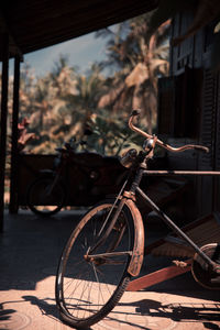 Bicycle parked by tree in city