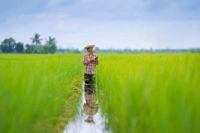 Man using digital tablet while standing in rice paddy