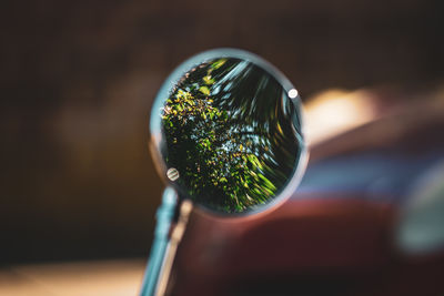 Reflection in wing mirror