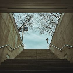 Low angle view of staircase against bare trees