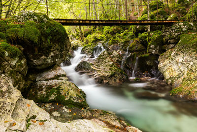 Stream flowing through rocks in forest