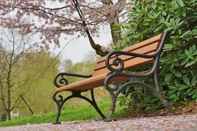 Empty bench in park