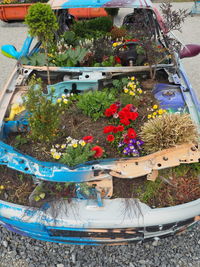 High angle view of potted plants in yard