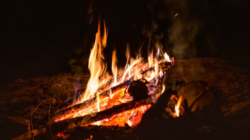 Close-up of bonfire at night