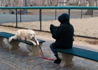 Person with dog in park