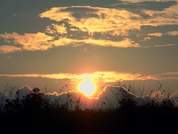 Silhouette trees against sky during sunset