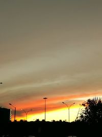 Silhouette trees against sky during sunset