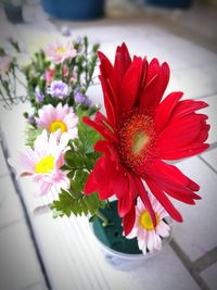 Close-up of flower blooming outdoors