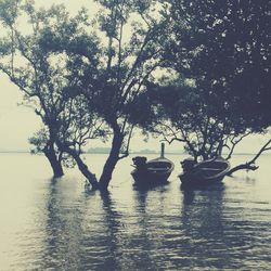 Boats in river