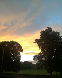 Silhouette trees on field against sky at sunset