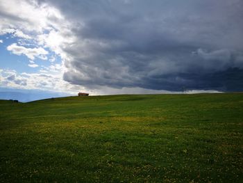 Scenic view of field against sky