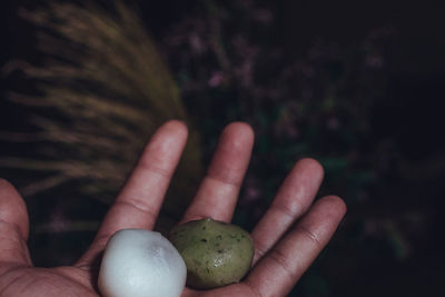 Close-up of hand holding fruits in dark