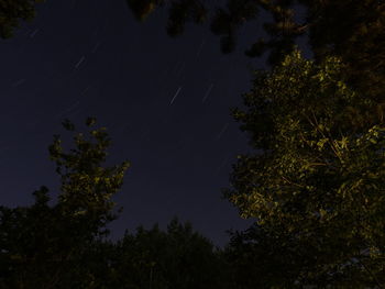 Low angle view of trees against sky at night