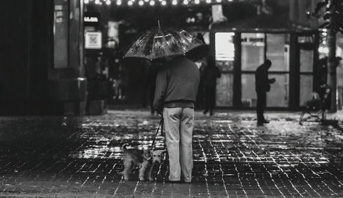 Dog protected by a man holding an umbrella in the rain best friends. man in jacket holding umbrella