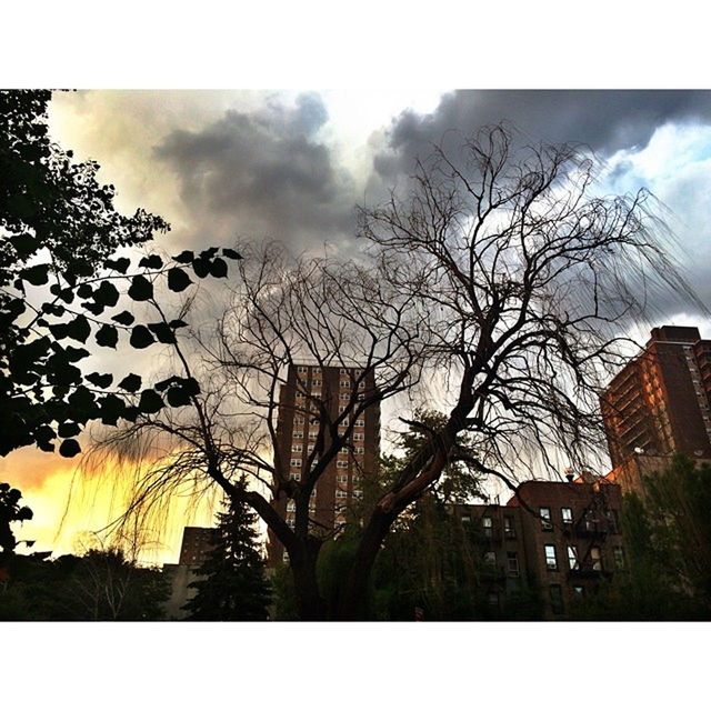 transfer print, building exterior, architecture, built structure, sky, auto post production filter, bare tree, tree, low angle view, cloud - sky, city, silhouette, building, branch, cloud, residential building, cloudy, house, residential structure, outdoors