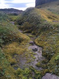 Stream flowing through rocks