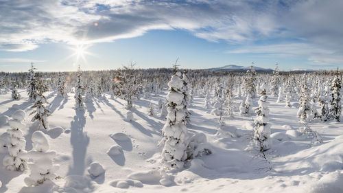 Snow on field against sky during winter