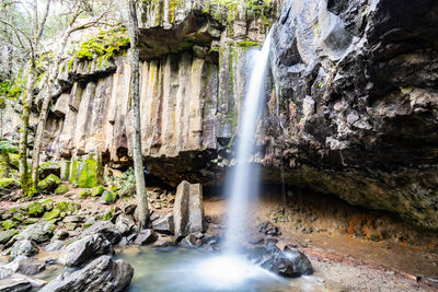 Scenic view of waterfall in forest