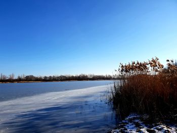 Scenic view of lake against clear blue sky during winter