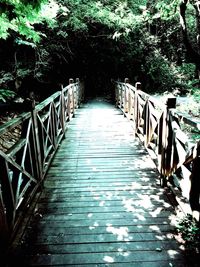 Narrow walkway along trees