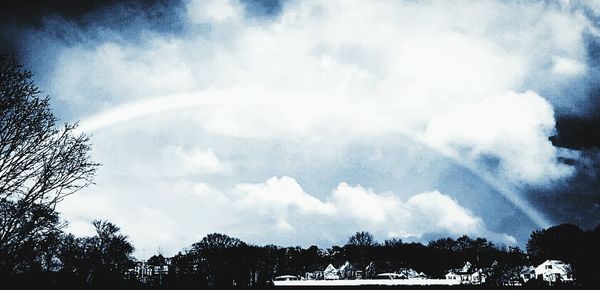 Low angle view of trees against sky
