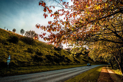 Road amidst trees against sky during autumn