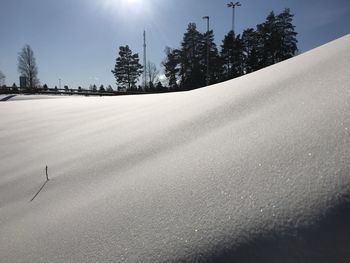 Trees on snow covered land against sky