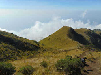 Scenic view of landscape against sky