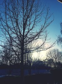 Silhouette of bare trees against sky at sunset