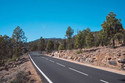 Road by trees against blue sky