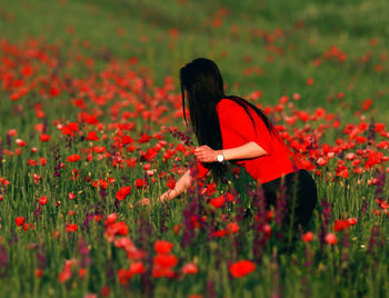 Rear view of woman on poppy field