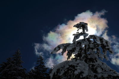 Low angle view of mountain against sky