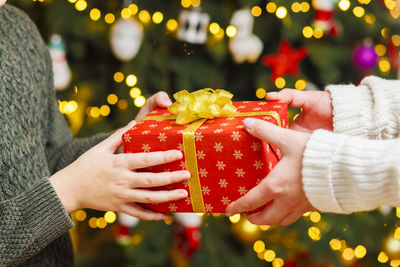 Midsection of woman holding christmas tree