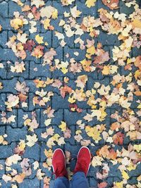Low section of person standing by fallen autumn leaves on street